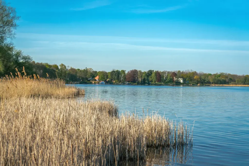 Petzow
